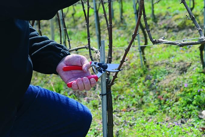 Felco F17 Pruning Shears – 7.9" Garden Clippers with Revolving Handle for Left-Handed Users | Hand Pruners for Gardening | Garden Tool Cutter with Forged Aluminum Body, Bypass & Anvil Blades