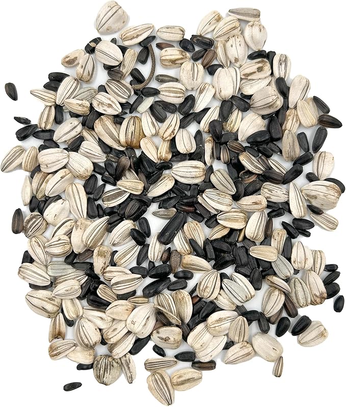 Ferry-Morse Sunsational Sunflower Bulk Flower Seeds, 1lb