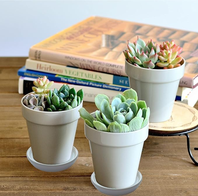 2 Pack Ceramic Plant Saucer 4 Inch, Heavy Duty Plant Pot Tray for Indoor & Outdoor, Glazed Ceramic Plant Drip Trays