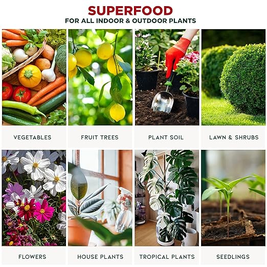 𝐁𝐄𝐒𝐓𝐒𝐄𝐋𝐋𝐄𝐑 Organic Liquid Kelp Fertilizer by GARDENERA - [32 OZ] - Organic Plant Superfood for Gardening - Concentrated Kelp & Seaweed Extract for Gardens, Lawns, Plants & Soil