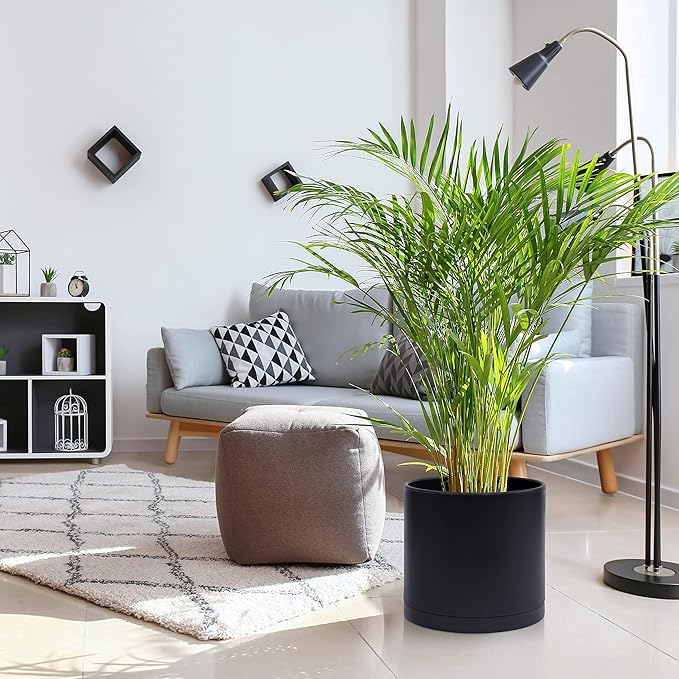 D'vine Dev 12 Inch Plastic Planter Pots for Plant Pot with Drainage Hole and Seamless Saucers, Black Color, 74-X-B-3