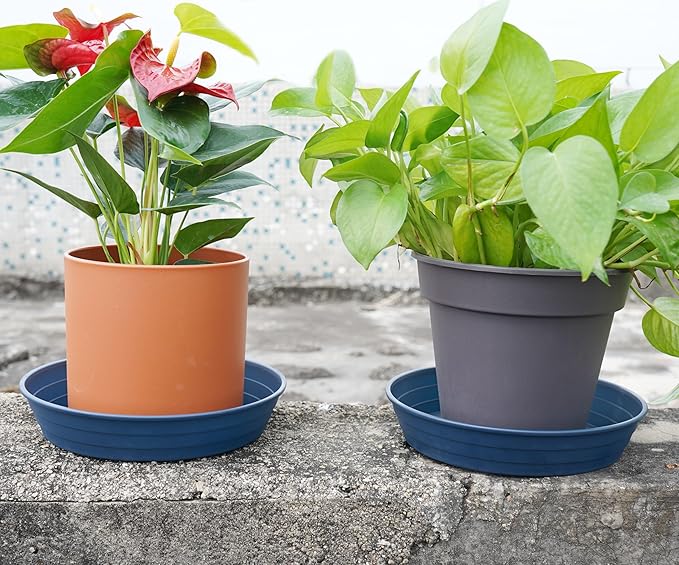 Plant Saucer 14 Inch 2 Pack 6 8 10 12 14 16 18 20 25, Plastic Plant Trays for Pots，Extra-Deep Plant Water Dray Tray, Bird Bath Bowl, Heavy Flower Plant Saucers Indoors and Outdoor No Holes