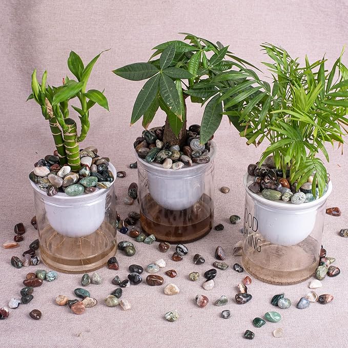 Polished Ocean Jasper Crystal Stone Set - 72 Pcs, 0.5" 10 oz Handpicked Natural Tumbled Gemstones Rocks, Pebbles for Reiki, Chakra, Healing, Home Decor