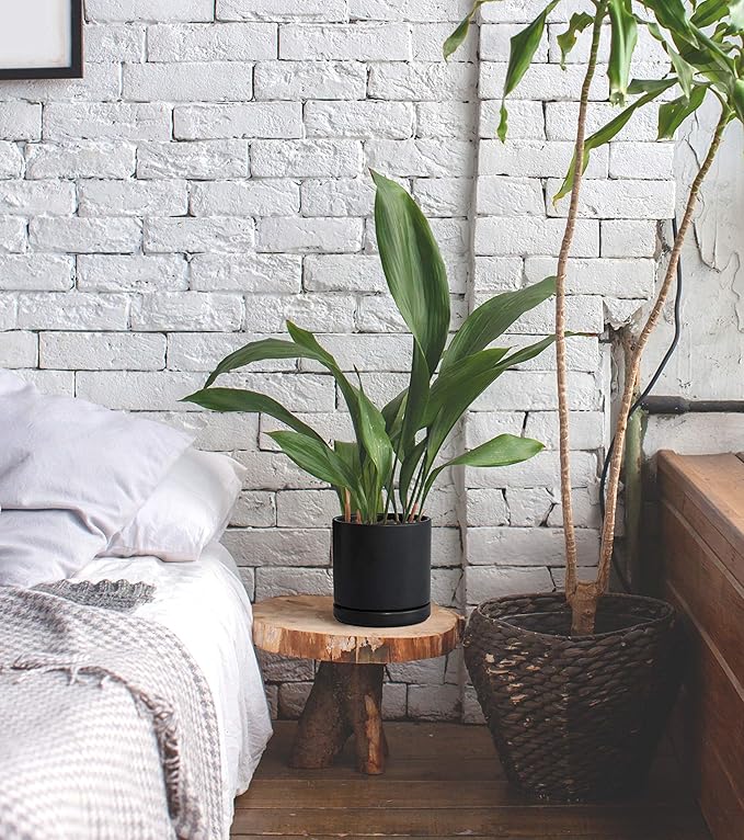 D'vine Dev Set of 2 Plants Pots, 6 Inch Ceramic Planter Pot for Plants with Drainage Hole and Saucer, Black, 94-V-C-2