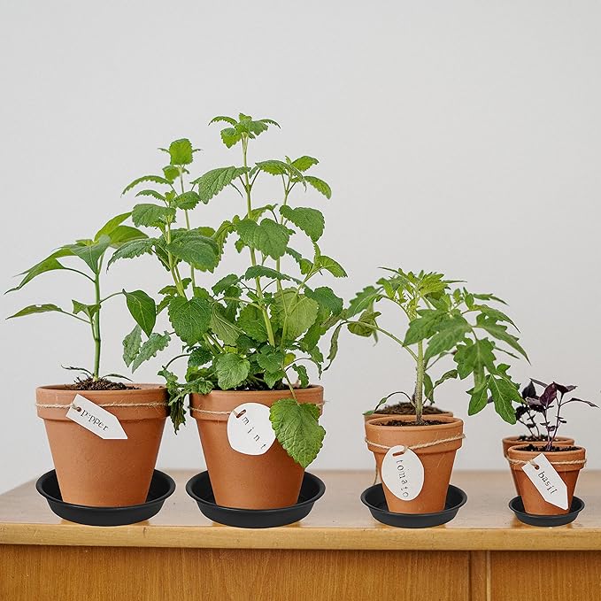 6 Pack 6 inch Plant Saucer Tray, 4 6 8 10 12 15 17 19 inch Plant Saucers, Heavy Duty Plastic Plant Saucers for Indoors, Bird Bath Bowls, Flower Plant Water Trays for pots Planter (6", Black)