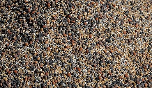 No-Till Cover Crop 13-Seed Mix (½-lb): [50% Clovers Plus Fenugreek, Vetch, Flax, Cowpeas, Buckwheat, Forage Peas, Millet, Lentils, Crimson Clover, Sweet Yellow Clover, White Clover, Medium Red Clover]