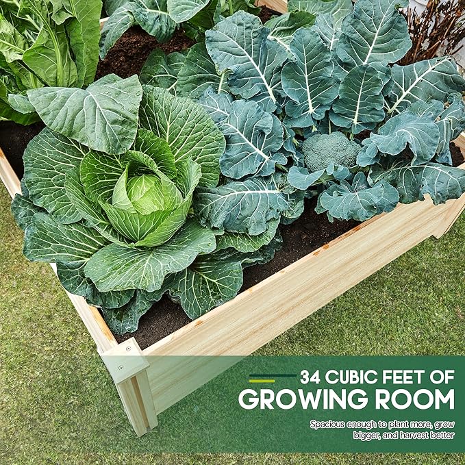 SPECRAFT 8x4 Ft Wood Raised Garden Bed, Durable 15 Inch Depth Planter Box for Vegetables, Herbs, and Flowers, Ideal for Outdoor Gardening with Open Base