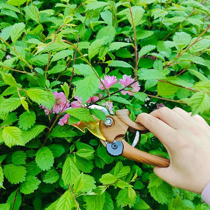 Gardening Tool Set Including Hand Trowel, Transplant Trowel, Cultivator Hand Rake, Pruning Shears and Weeder, Non-Slip Rubber Grip (5 pcs Orange)