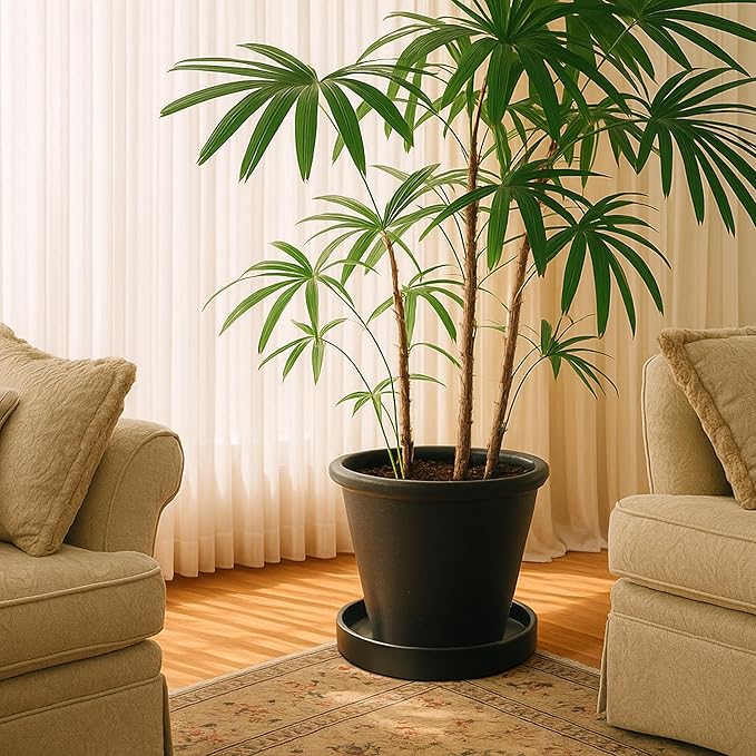 D'vine Dev Modern Round 8.7 Inch Ceramic Plant Pot Saucer, Planter Pot Drainage Tray for Indoor Plants, Matte Black, 97-T-B-4