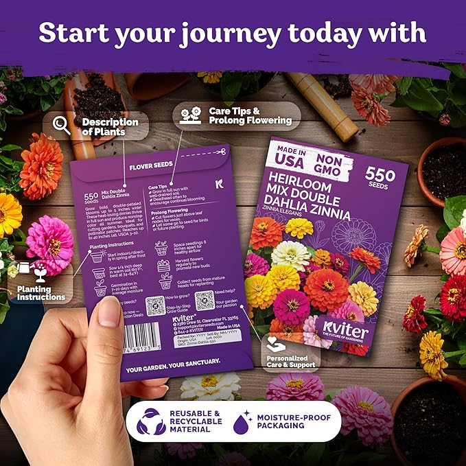 KVITER 550 Dahlia Zinnia Seeds for 2025 Mix (Zinnia Elegans) – Double Blooms, Heirloom & Organic – Flower Seeds for Planting Outdoors in Garden, Containers, Flower Beds. Ideal for Cut Flowers