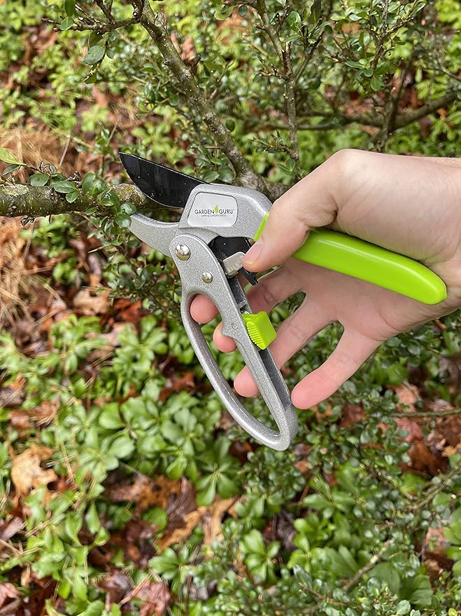 GARDEN GURU Professional Ratchet Pruning Shears Clippers – 4X Cutting Power – Ratcheting Garden Anvil Pruners Scissors - Ergonomic Grip - Makes Tough Cuts Easy - Great for Seniors & Arthritic Hands