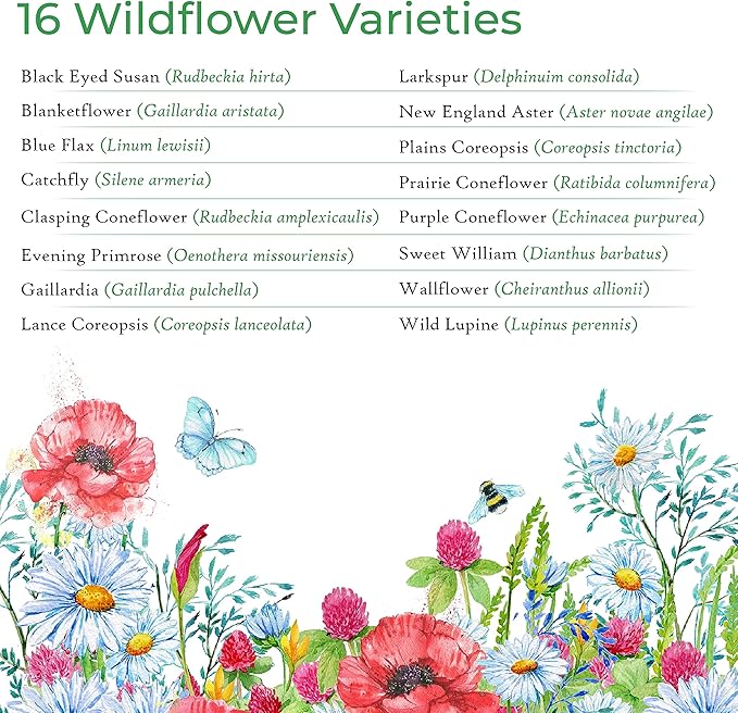 Created By Nature Iowa Wildflower Seed Mix, 16 Flower Varieties, 40,000 Seeds