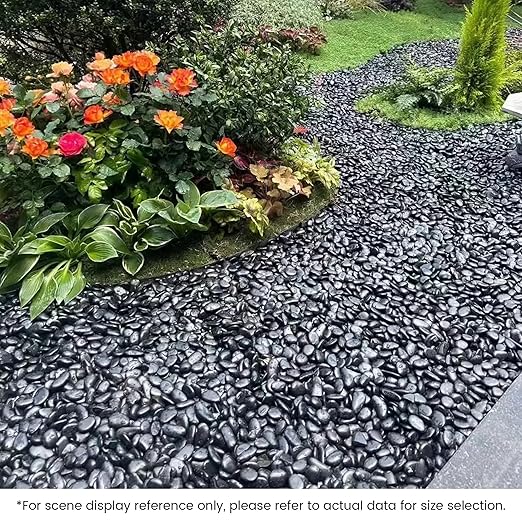 SIDONG 10 LB Black River Rocks, 0.4-1.2 Inches Highly Polished Pebbles for Indoor Plants, Decorative Stones for Plants, Fish Tank, Vases, Home Décor, Crafting, Garden Landscaping
