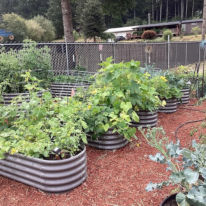 A ANLEOLIFE 8 Pcs 6X2X1.5 ft Oval Round Galvanized Raised Garden Beds Outdoor for Planting Vegetables Flowers Herb, Quartz Grey