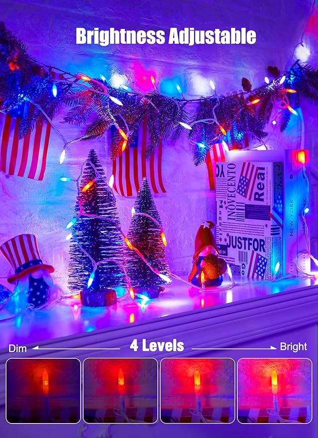 Red White Blue String Lights Plug in with Adapter,200 LED 4th of July Decoration Patriotic Mini Lights with Remote, Waterproof for Indoor Bedroom Party Holiday Independence Day