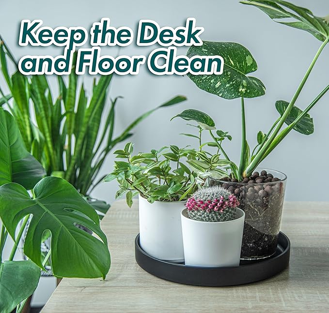 Phoenix Vine 12 Inch Plastic Plant Saucer Water Drip Tray, Heavy Sturdy Round Plant Drainage Tray for Indoors Outdoor, Matte Black, 21-TY-12B-1