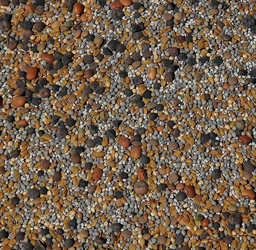 No-Till Cover Crop 13-Seed Mix (1 lb. Bag): [50% Clovers Plus Fenugreek, Vetch, Flax, Cowpeas, Buckwheat, Forage Peas, Millet, Lentils, Crimson Clover, Sweet Yellow, White Clover, Medium Red Clover]