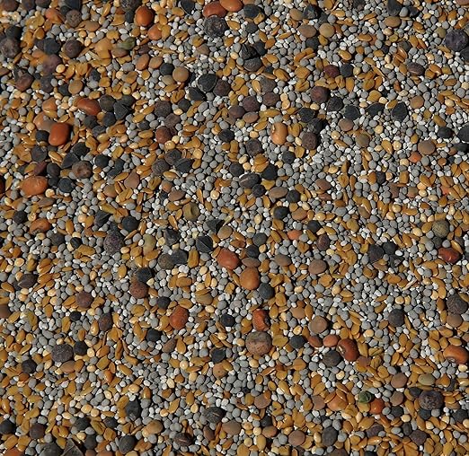 No-Till Cover Crop 13-Seed Mix (½-lb): [50% Clovers Plus Fenugreek, Vetch, Flax, Cowpeas, Buckwheat, Forage Peas, Millet, Lentils, Crimson Clover, Sweet Yellow Clover, White Clover, Medium Red Clover]