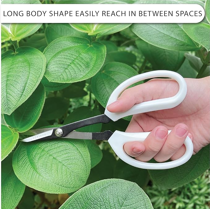 Precision Gardening Scissors Plant Trimming Pruning Shears Garden Pruners for Orchid Bonsai Hydroponic Flower Clipper Garden Snip 8 Inch Long