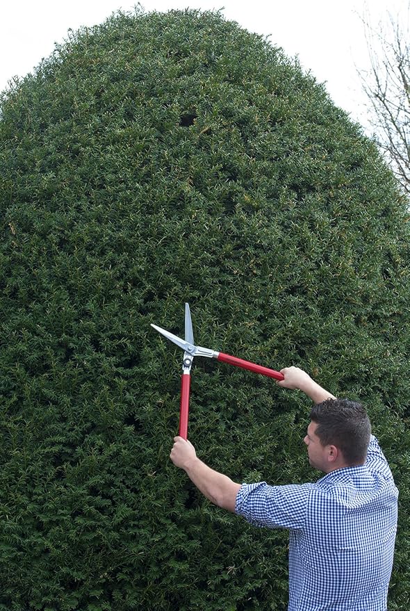 BERGER Professional Lightweight Topiary Hedge Shear, 6.3" Chromium-Plated Blades, Sap Groove to Prevent Sticking, Shock-Absorbing Buffer, Beech Wood Handles, 2520