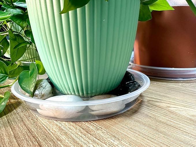 Clear Plant Saucer 6 Pack 12 inch, Heavy Duty Round Plastic Plant Tray Saucers for Indoors Outdoors Garden, Flower Planter Water Drip Trays for Pot, Plant Dish