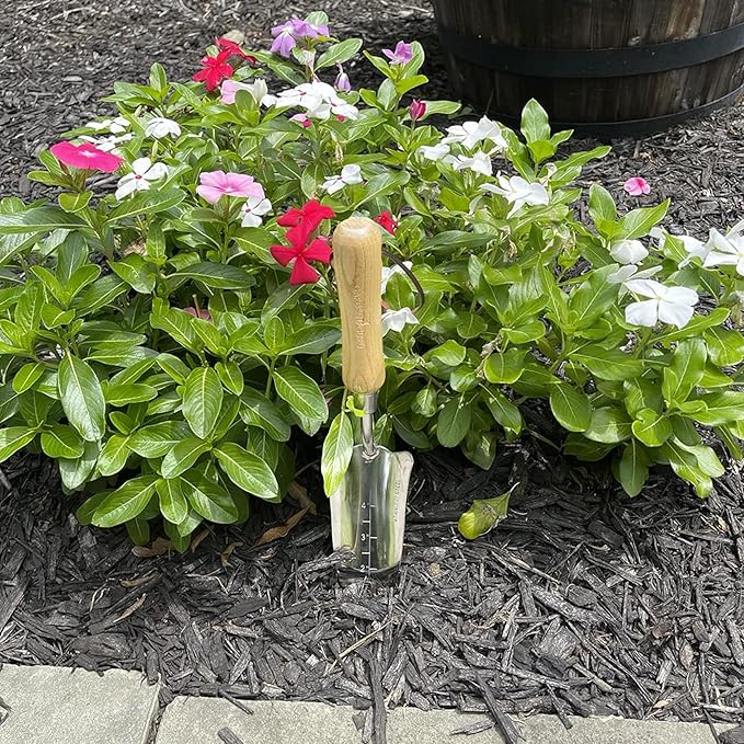 Garden Guru Eco Transplanter Trowel Shovel- 100% Recycled Stainless Steel - Rust Resistant - FSC Certified Wood Ergonomic Handle - Perfect Tool for Gardening Weeding Transplanting and Digging