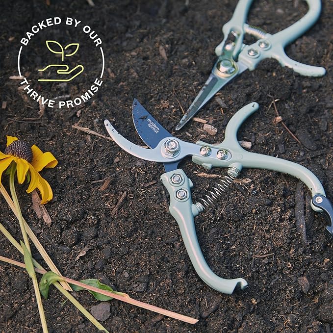 Modern Sprout Hand Pruners & Shears Set - Lightweight Gardening Tools W/Easy Lock - Sharp Carbon Steel Blades -Rust Resistant Scissors for Herbs, Flowers - Reusable Holster - Green
