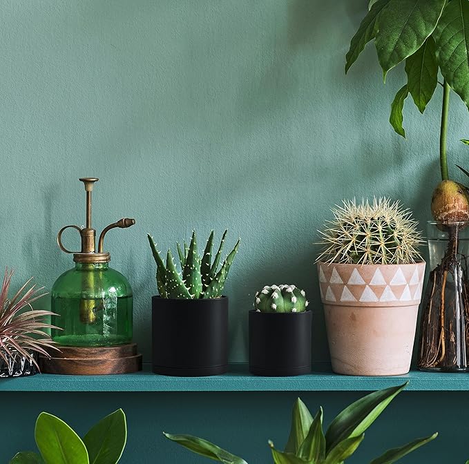 D'vine Dev 12 Pack 3.5 Inch Mini Plastic Plant Pots, Small Garden Planters for Plant with Drainage Holes and Saucers, Black Color, 74-Y-D-4