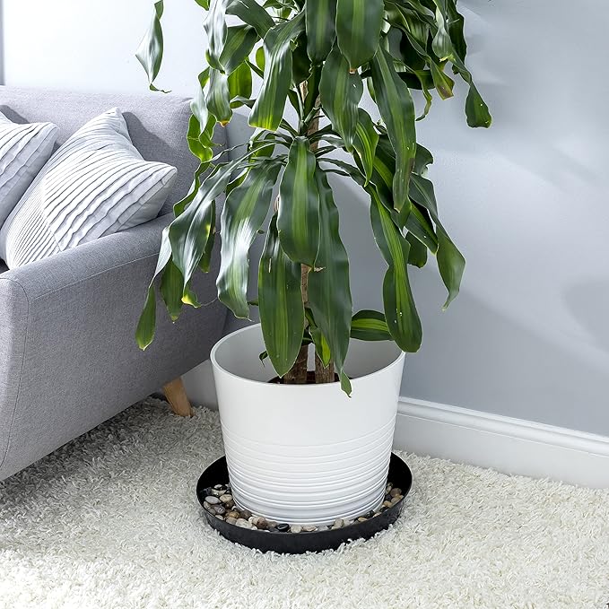 18inch Saucer Black Polypropylene for Indoor and Outdoor Plant