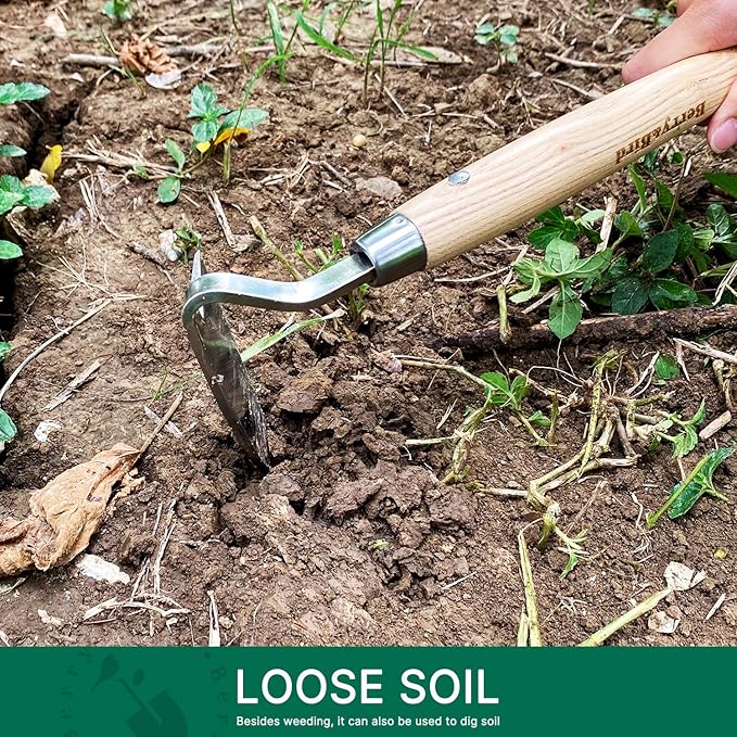 Berry&Bird Japanese Weeder-Scraper-Hoe, 12.67-Inch Gardening Sickle Hoe, Stainless Steel Bent Angle Weeding Sickle, Weeder Hoe with Ergonomic Ash Wood Handle for Weeding, Soil loosening, Digging