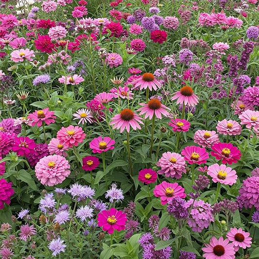 Ferry-Morse Pink and Purple Mix Bulk Flower Seeds, 1lb