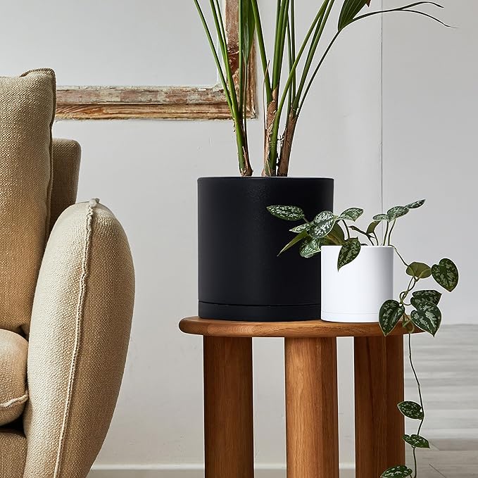 D'vine Dev 2 Pack 5 Inch Modern Plastic Plant Pots, Small Garden Planters for Plant with Drainage Holes and Saucers, White Color, 74-Z-G-1