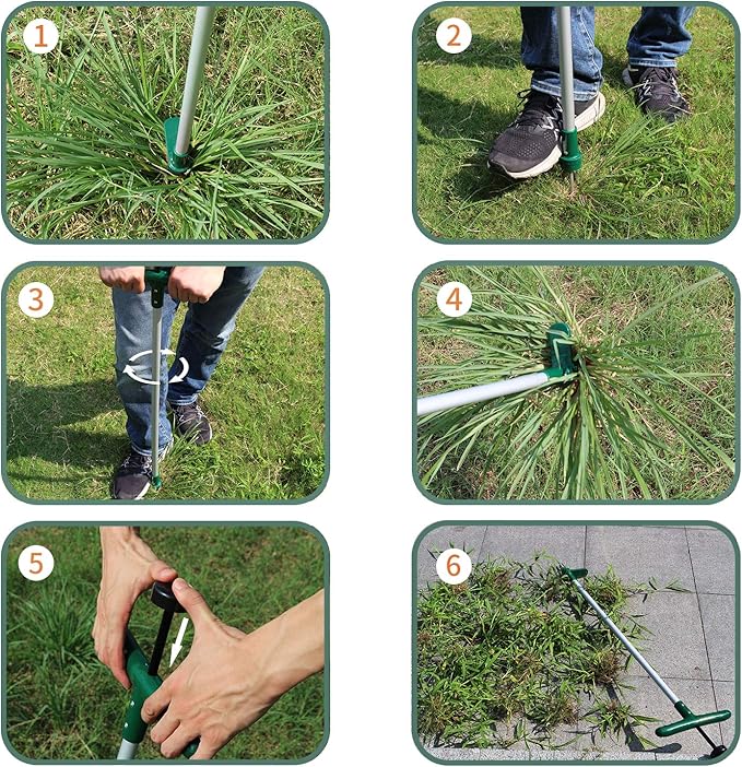 Walensee Stand Up Weeder and Weed Puller, Stand up Manual Weeder Hand Tool with 3 Claws, Stainless Steel and High Strength Foot Pedal, Weed Puller (Combo Pack - Stand Up Weeder & Hand Weeder)