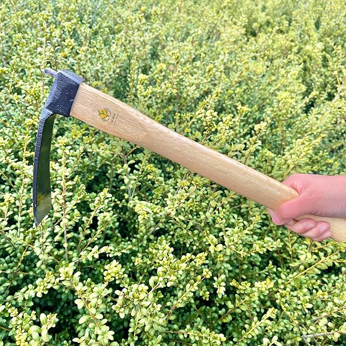 14 Inch Heavy Duty Narrow Hoe, Without Welding, Japanese Carbon Steel with Oak Wooden Handle, Garden Tool for Digging, Weeding, and Planting