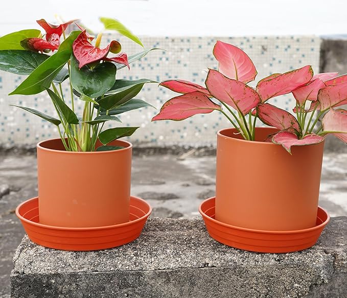 Plant Saucer 8 Inch 4 Pack 6 8 10 12 14 16 18 20 25, Plastic Plant Trays for Pots，Extra-Deep Plant Water Dray Tray, Bird Bath Bowl, Heavy Flower Plant saucers Indoors and Outdoor No Holes 8in-4 red