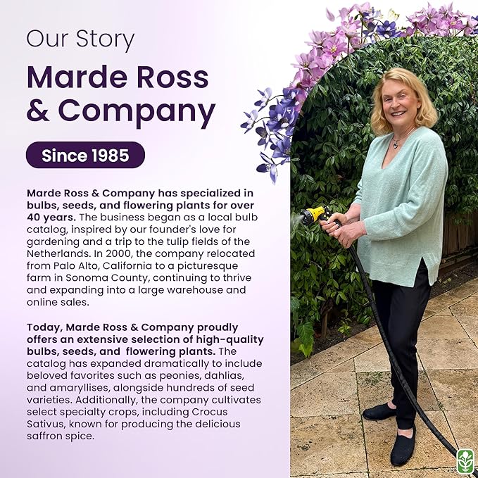 Climbing Vine Seeds for Planting – Colorful Mix of Climbing Flower Seeds: Morning Glory, Nasturtium, Black-Eyed Susan Vine, and Sweet Pea