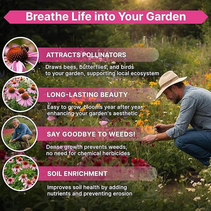 Organo Republic Echinacea Seeds Pack 4 oz - Over 37,500 Non-GMO Heirloom Echinacea Seeds for Planting, Perennial Flowers in Individual Packet, Coneflower for Planting Indoor & Outdoors