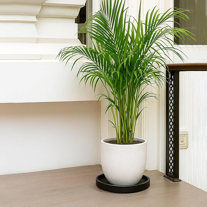 D'vine Dev Modern Round 10.4 Inch Ceramic Plant Pot Saucer, Planter Pot Drainage Tray for Indoor Plants, Matte Black, 97-T-B-5