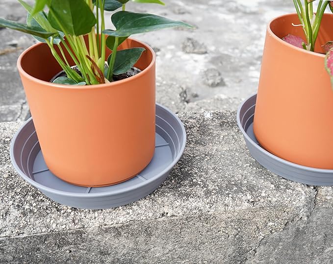 Plant Saucer 8 Inch 4 Pack 6 8 10 12 14 16 18 20 25, Plastic Plant Trays for Pots，Extra-Deep Plant Water Dray Tray, Bird Bath Bowl, Heavy Flower Plant saucers Indoors and Outdoor No Holes 8in-4 grey