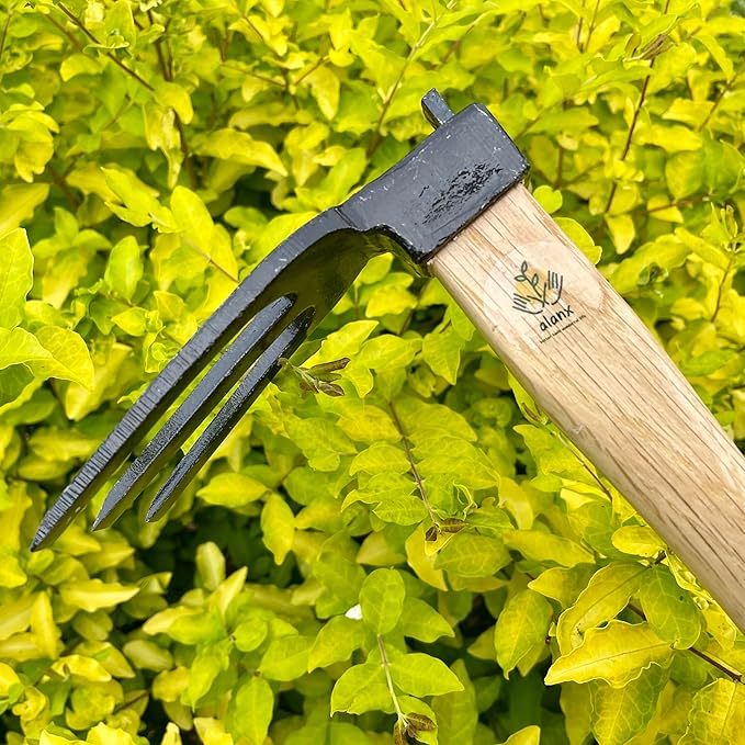 14 inch Japanese Hand Tiller/Rake for Garden, 3-tines Cultivator, Without Welding, Oak Handle, for Digging, Soil Preparation, Chopping Through Roots and Hard Soil and Other Gardening tasks
