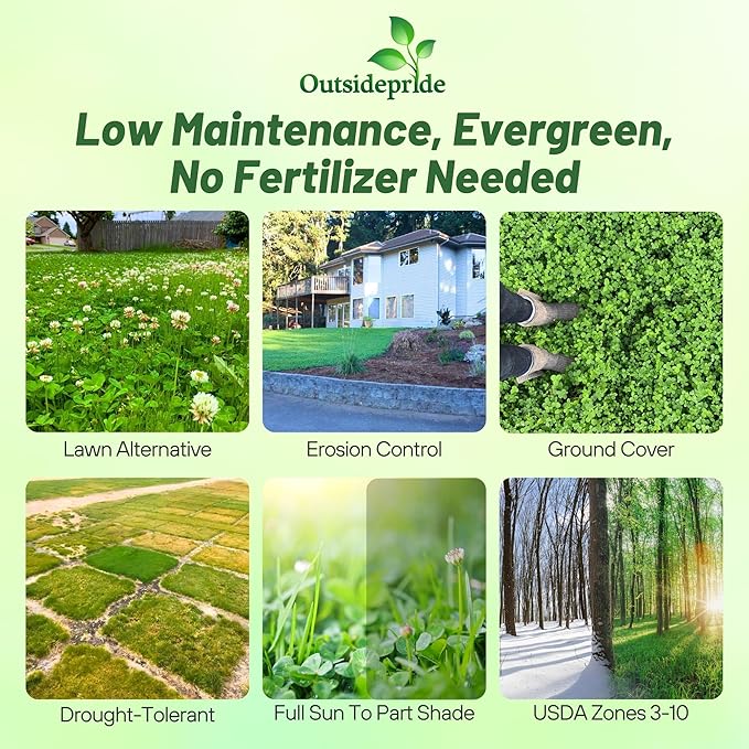 Outsidepride Perennial White Dutch Clover Seed - 5 lbs. Nitrocoated, Inoculated Clover Seeds for Lawn Alternative, Erosion Control, Food Plots, Ground Cover, & Pasture Mixtures in USDA Zones 3-10