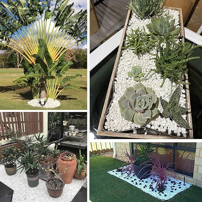 White Pebbles for Plants Garden 18 lb White Rocks Gravel Decorative Stones Landscaping Vase Fillers 1/2"