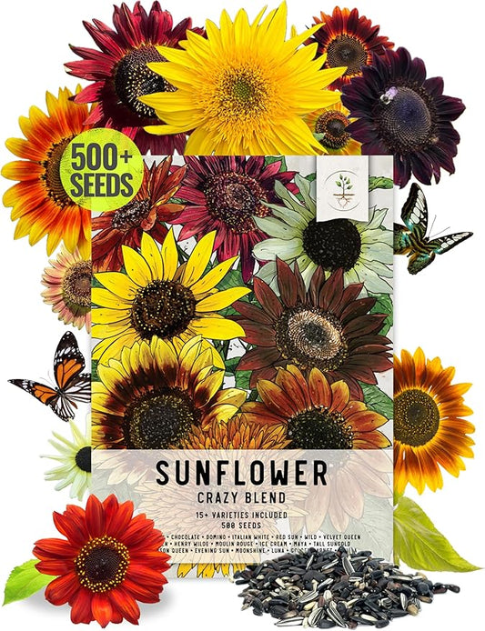 Seed Needs Sunflower Seeds to Plant The Original Crazy Blend | 500+ Heirloom Seeds 15+ Varieties Open Pollinated & Untreated | Resealable Bulk Package Multicolored Blooms Flower Seed