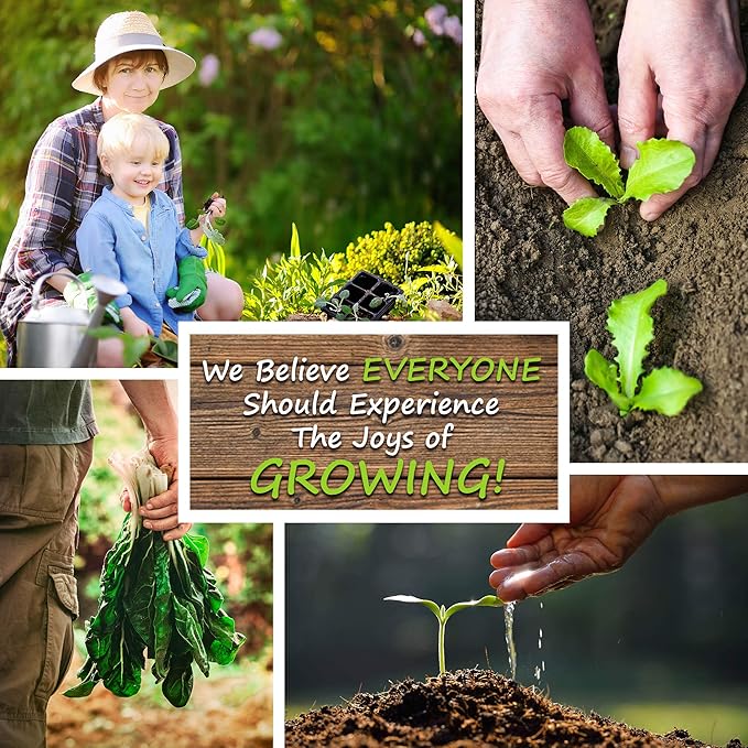 Hummingbird & Butterfly Wildflower Seed Mix - 1 Lb - Wild Flower Seed Mixture: Alyssum, Lemon Mint, Foxglove, More