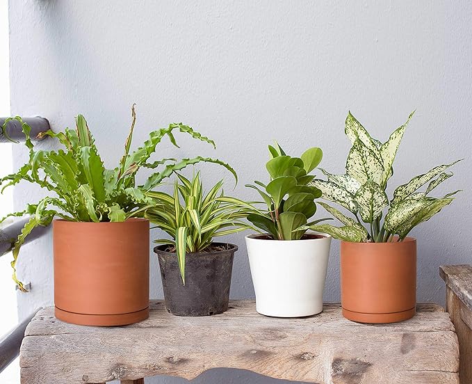 D'vine Dev Terracotta Pots for Plants, 5.3 Inch 6.5 Inch 8.3 Inch, Round Cylinder Planter Pot with Drainage and Saucer, 40-T-B-0