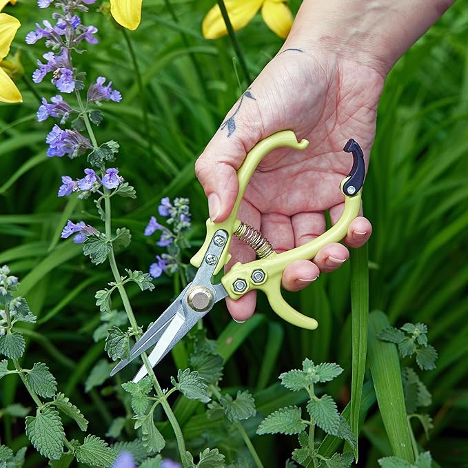 Modern Sprout Pruning Shears - Herb Snipping Scissors- Lightweight Gardening Tools W/Easy Lock - Flower Cutter Garden Shears - Carbon Steel Blade + Reusable Holster (Chartreuse, 1-Pack)