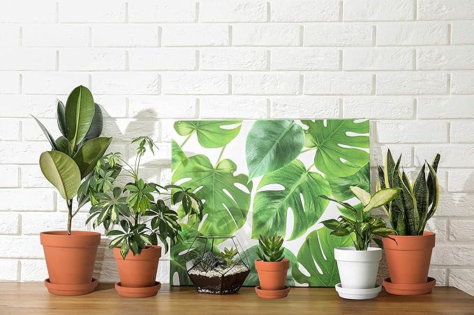 D'vine Dev Set of 4 Small Clay Planters, 3 Inch 4.5 Inch 5 Inch 6 Inch Terracotta Plant Pots with Drainage Hole and Saucers for Indoor Plants, 588-57-1