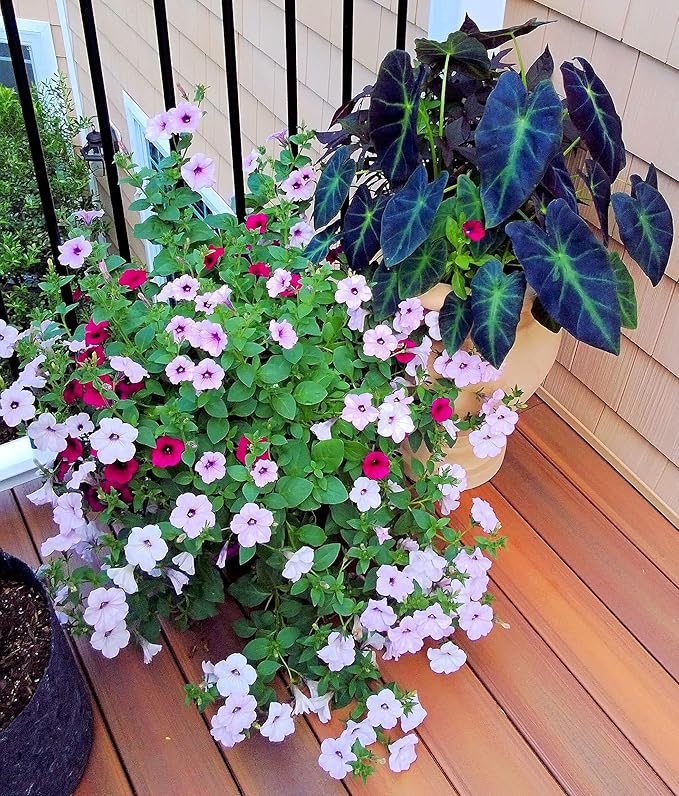 100 EarthPods - Premium Flower Fertilizer Spikes - Boost Blossoms (Great for Roses, Potted Annuals, Perennials, Flower Bulbs, Hanging Baskets) - Made in USA