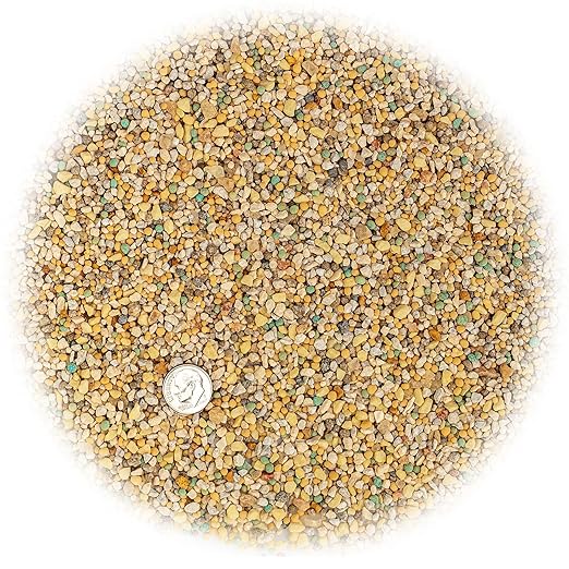 𝐁𝐄𝐒𝐓𝐒𝐄𝐋𝐋𝐄𝐑 6-4-6 Avocado Citrus Tree Plant Food for Outdoor/Indoor Gardening | Quick-Release Nitrogen Fertilizer | Orange, Lime, Avocado and Lemon Tree Fertilizer (5 Quarts)