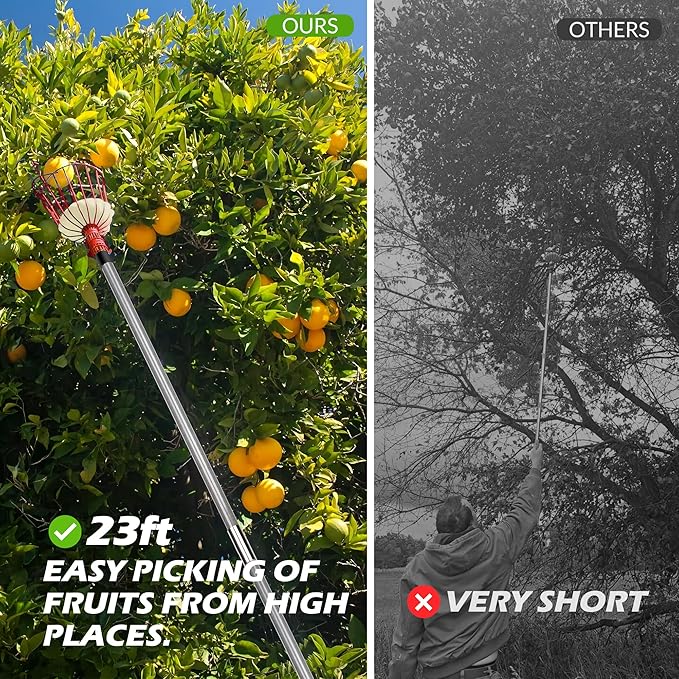 Walensee 23FT Fruit Picker, Adjustable Fruits Picker Tool with Fiberglass Pole, Big Basket and Storage Bag, Fruit Catcher Equipment Tree Picker for Lemons Apples Mango Orange Avocados Fruit Picking